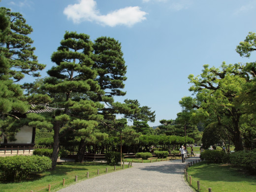 49267 (a): :1600x1200